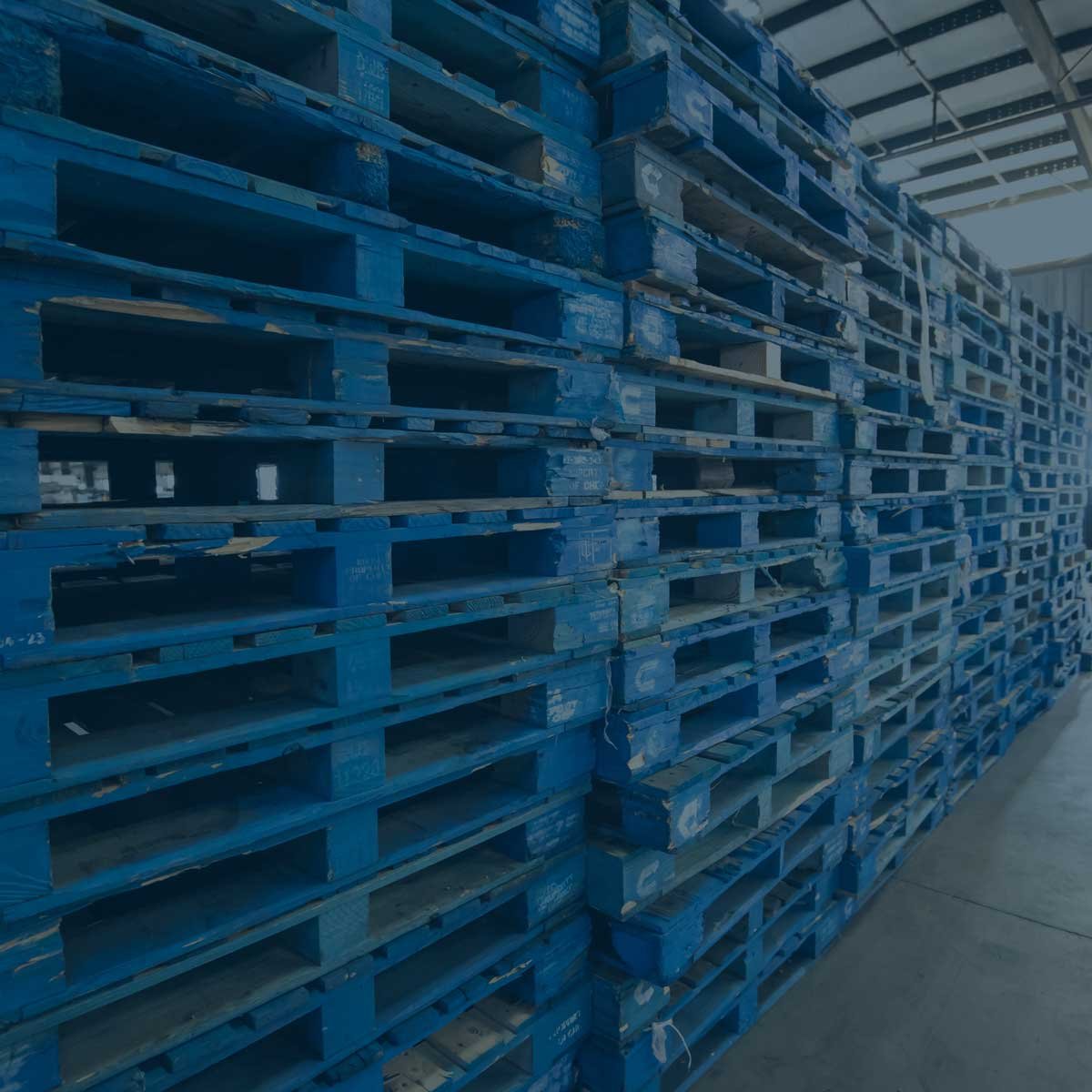 Pooled-pallets-blue1b